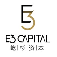 E3 Capital Partners logo - Similar company to Iconiz