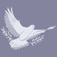 LinguatiCo logo - Similar company to Nds Integration