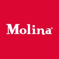 Vainilla Molina logo - Similar company to Prote Gt