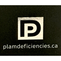 PLAM deficiencies & carpentry logo - Similar company to Skyline Solutions