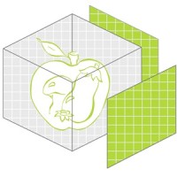 JMT US LLC logo - Similar company to Iron Brothers Triathlon