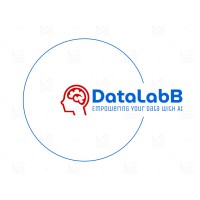 Datalabb logo - Similar company to Woorunner