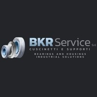 BKR Service Italy, bearings and transmissions logo - Similar company to Narimex