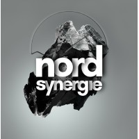 Nord Synergie logo - Similar company to Simusion