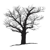 Vermont Tree Goods