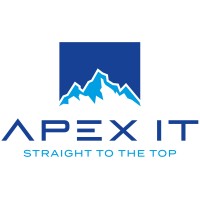 Apex IT AG logo - Similar company to Marol.Solutions