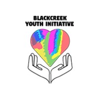 Black Creek Youth Initiative logo - Similar company to Youth Gravity