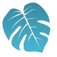 SoFloWeb logo - Similar company to Florida Web Architects