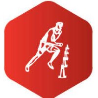 Sports Med Ireland logo - Similar company to Rascheb