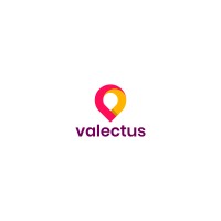 Valectus Private Limited logo - Similar company to Tekolutions.Ai