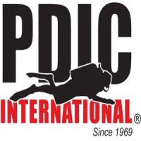 PDIC International logo - Similar company to National Transport Authority