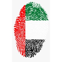 United Arab Emirates International Manpower logo - Similar company to N/A
