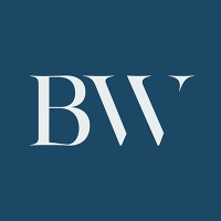 BusinessWise logo - Similar company to De Ondernemer