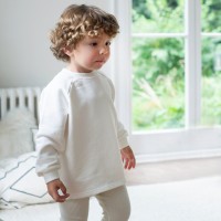 Little Prince London logo - Similar company to Zebrametrics