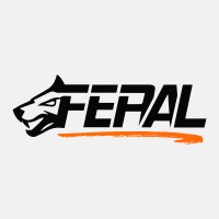 Feral Forge logo - Similar company to Invisible Ink Studios
