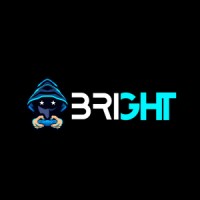 BRIGHT GAMES CO logo - Similar company to Bandsoft