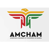 AmCham Guinea logo - Similar company to University Of Environment And Sustainable Development