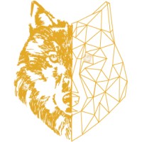 CloneTech LTD. logo - Similar company to Rightsoft