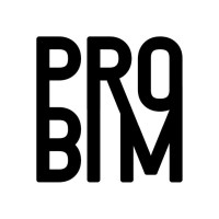 Pro - BIM logo - Similar company to Bim Engineering
