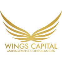 Wings Capital Management Consultancies Co logo - Similar company to Mlk Capital
