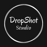 Dropshot Studios logo - Similar company to Wisdom Visuals