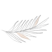 Neapolitan Group logo - Similar company to Neapolitan Pizza