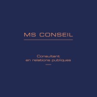 MS Conseil logo - Similar company to Mission Internet