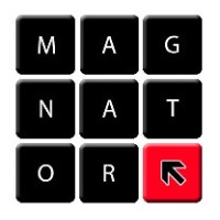 Magnator usługi informatyczne. logo - Similar company to Catway