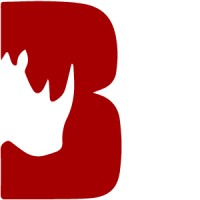 Brave Digital logo - Similar company to Rodoyo Web Design