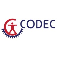 Codec Italia logo - Similar company to Radio Studio 105