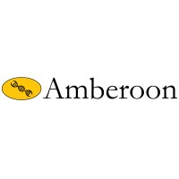 Amberoon Inc. logo - Similar company to Electrify 360