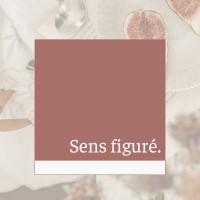 Sens figuré. logo - Similar company to Sensible