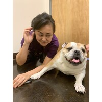 Kapolei Pet Hospital
