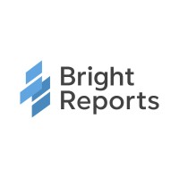 BrightReports logo - Similar company to Nday Security