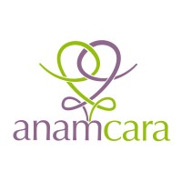 anamcara logo - Similar company to Disc Solutions