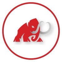 Mammoth Strategy Group, LLC logo - Similar company to Identika