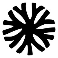 Symbiotec logo - Similar company to Connect Auto