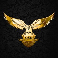 DSH Holding logo - Similar company to Statements - Accounting & Audit