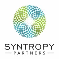 Syntropy Partners, LLC logo - Similar company to Focused Ingenuity Inc.