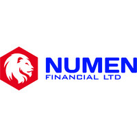NUMEN FINANCIAL LIMITED logo - Similar company to Anaar Solutions