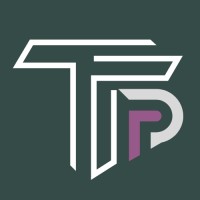 Two Trick Pony Consulting logo - Similar company to Amphi Studios