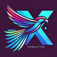 FalconX Consulting logo - Similar company to 3 Point Llc