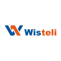 Wisteli Informatics logo - Similar company to Consint.Ai