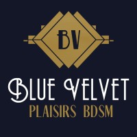 BLUE VELVET logo - Similar company to Porter Bathroom