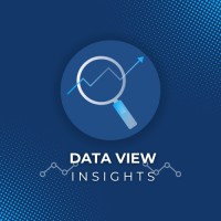 DataView Insights logo - Similar company to Data View - Llc