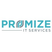 Promize IT Services Private Limited logo - Similar company to Lemon&Orange