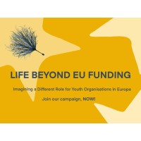 Life beyond EU Funding: Imagining a Different Role for Youth Organisations in Europe logo - Similar company to Zinnema