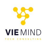 VieMind Tech Consulting logo - Similar company to Builder Studio