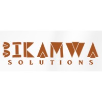 Bikamwa Solutions logo - Similar company to Naskisoft
