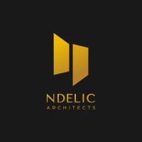 Ndelic Architects logo - Similar company to Videshiiya Studio